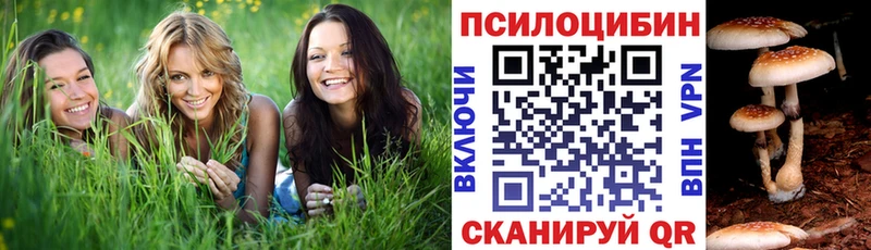 Галлюциногенные грибы GOLDEN TEACHER  Купить закладки  Шиханы 